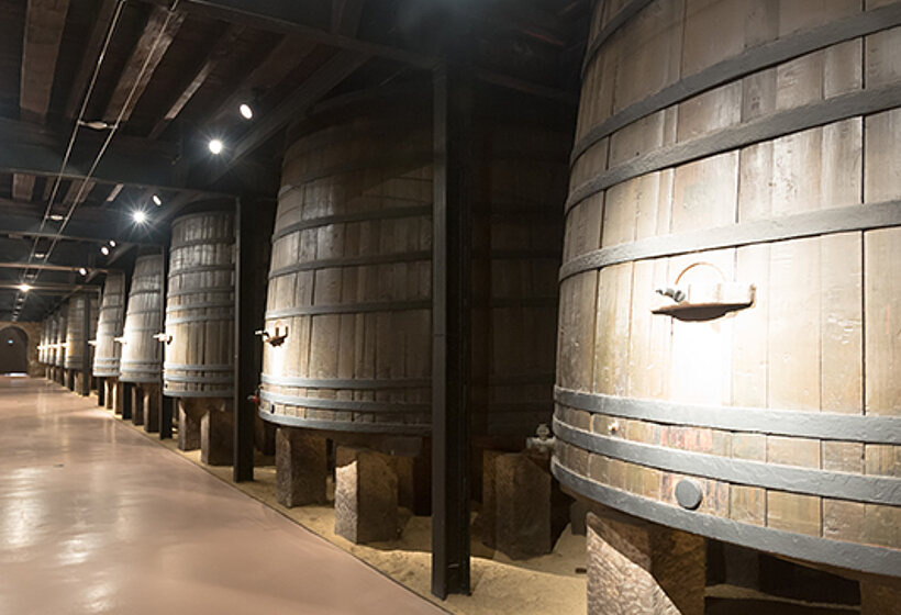 Industrial pumps in the food industry: pumps in the winery Yeast in wineries