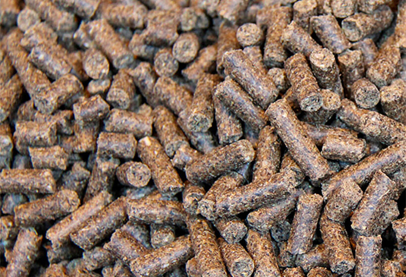 pumping and dosing additives in the animal feed industry Animal Feed