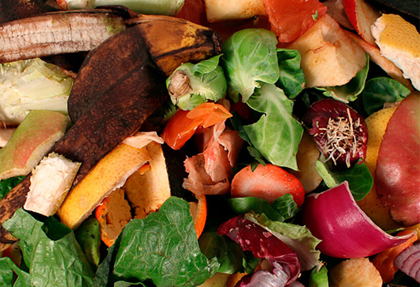 Industrial pumps in the food waste industry: Food waste Disposal & Anaerobic digestion