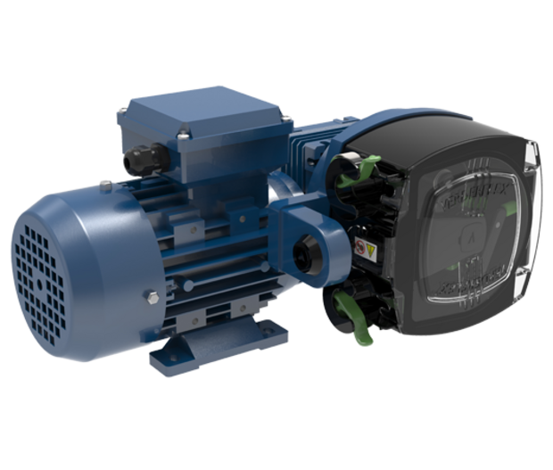 Rapide 5000 Single Head