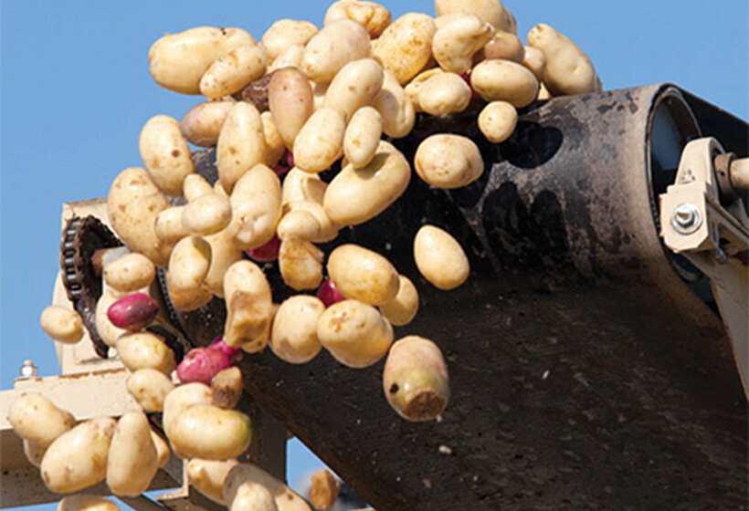 Industrial pumps in the food industry: anti foaming agent Inline mixers for anti-foaming agent